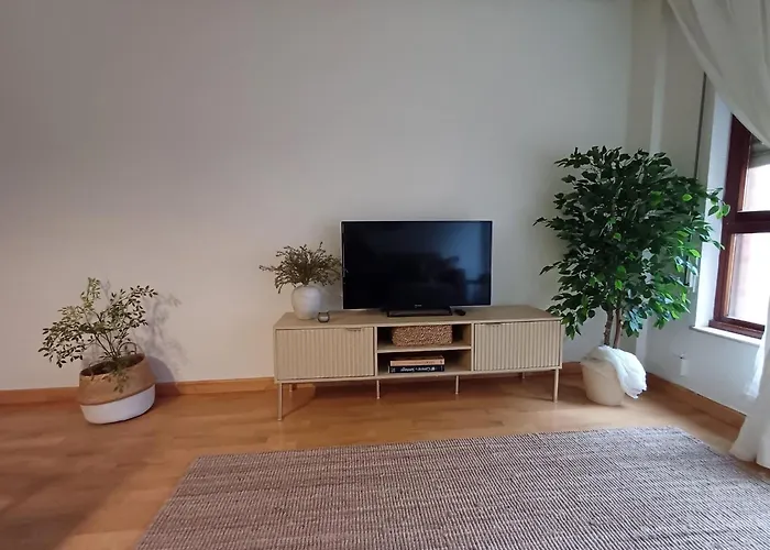 Centrico Con Parking Www Venaoviedo Es דירה אוביידו