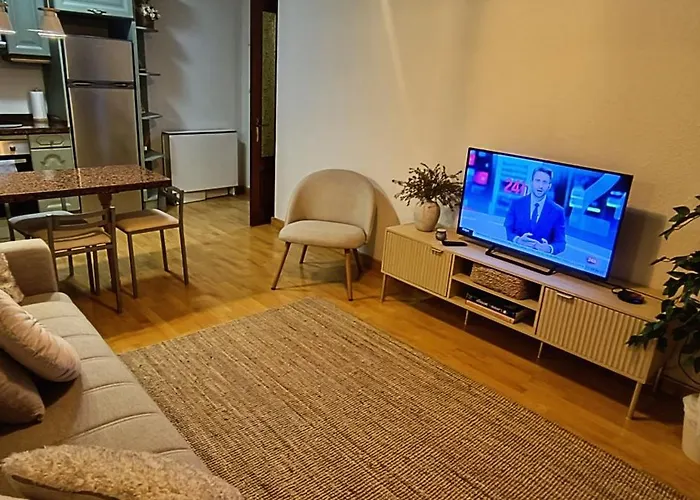 Centrico Con Parking Www Venaoviedo Es